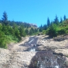 Trabzon-Sis Dağı